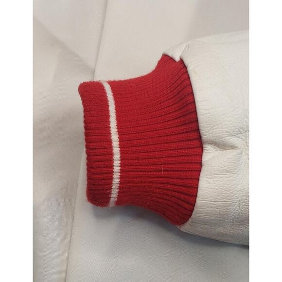 Vintage DETROIT RED WINGS 10X STANLEY CUP CHAMPIONS Mens Varsity Jacket Large G3 - Picture 11 of 15